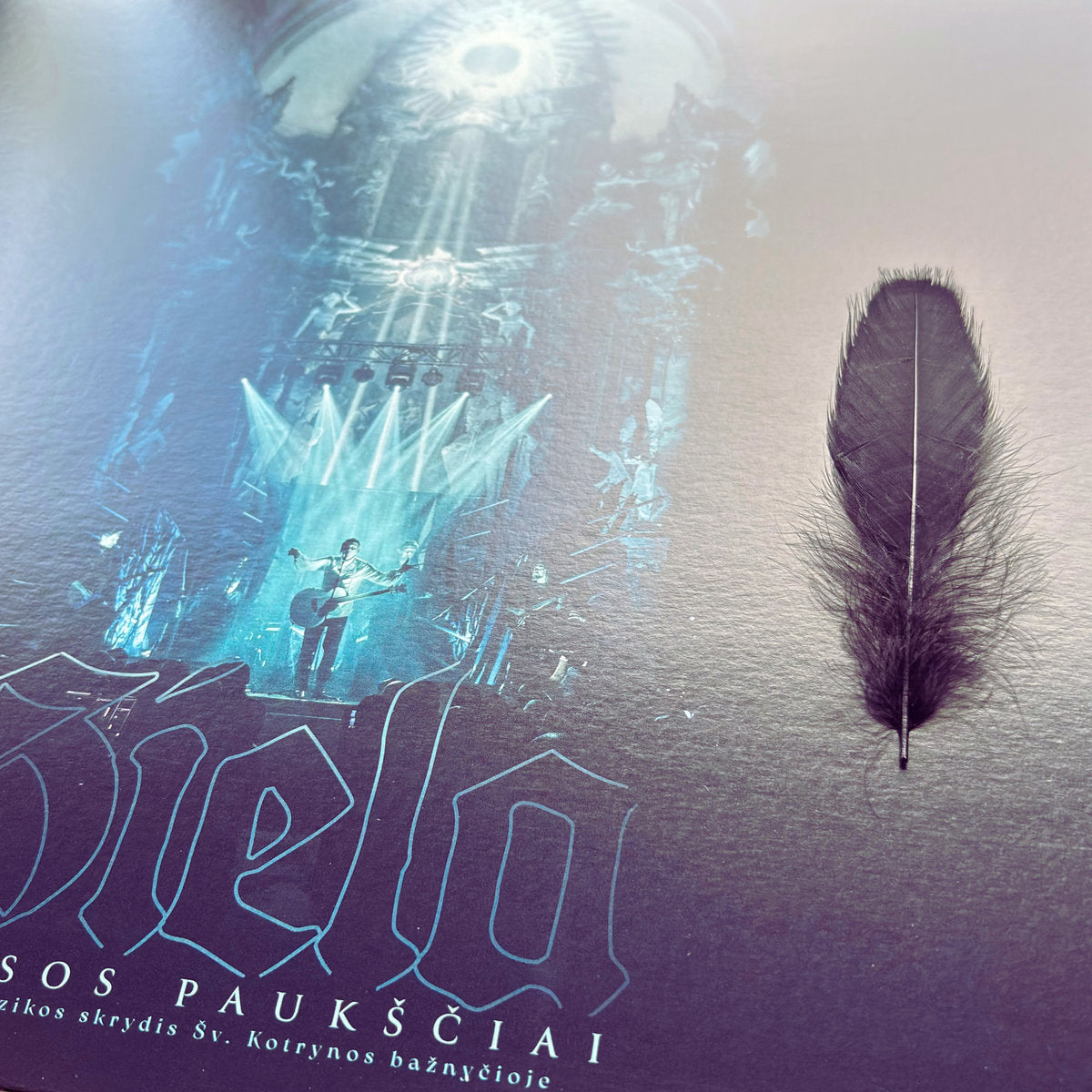 SIELA "Tamsos paukščiai" LP